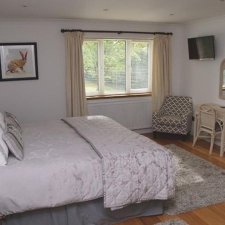Cherry Tree Guesthouse Bradford-On-Avon Rum bild